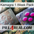 Kamagra 1 Week Pack 38